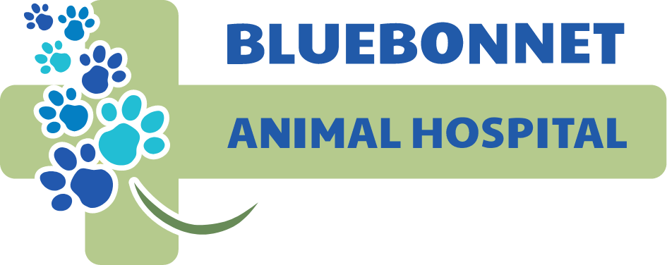 Bluebonnet Animal Hospital