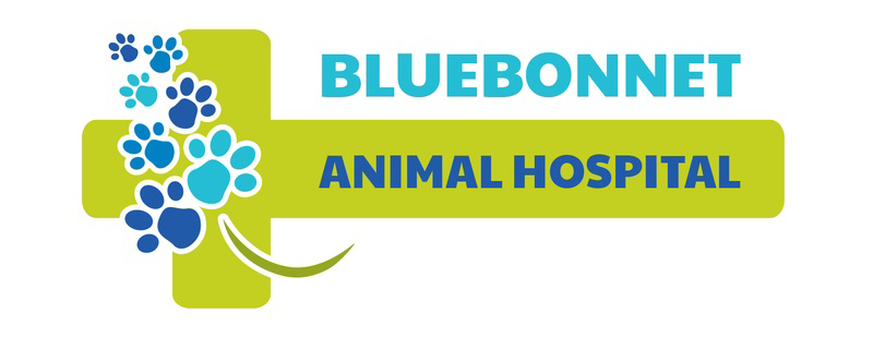 Bluebonnet Animal Hospital Logo